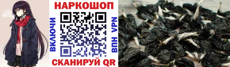 Где можно купить наркотики Уфа Гашиш  Конопля  COCAIN  БУТИРАТ  Мефедрон  Амфетамин 