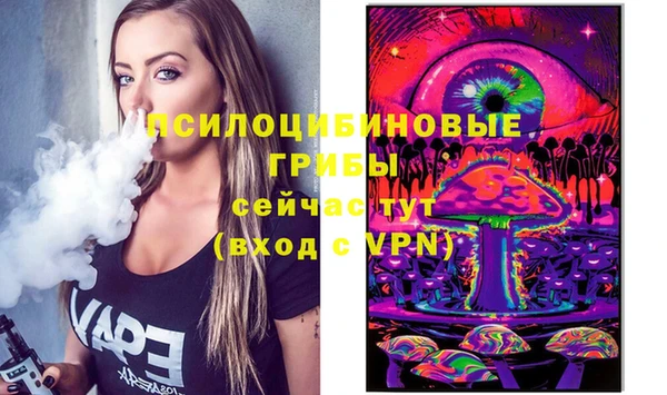 крисы Бронницы