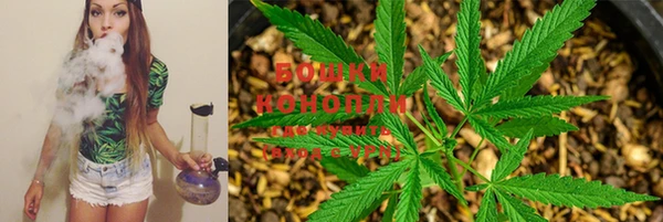 гидропоника Бугульма