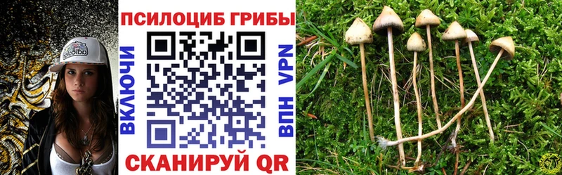 дарнет шоп  Уфа  мориарти официальный сайт  Псилоцибиновые грибы прущие грибы 